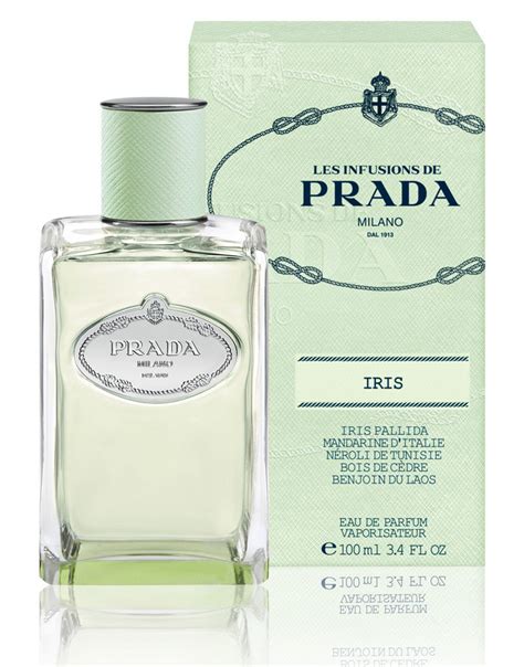 infusion d iris prada piramide olfattiva|prada iris fragrance.